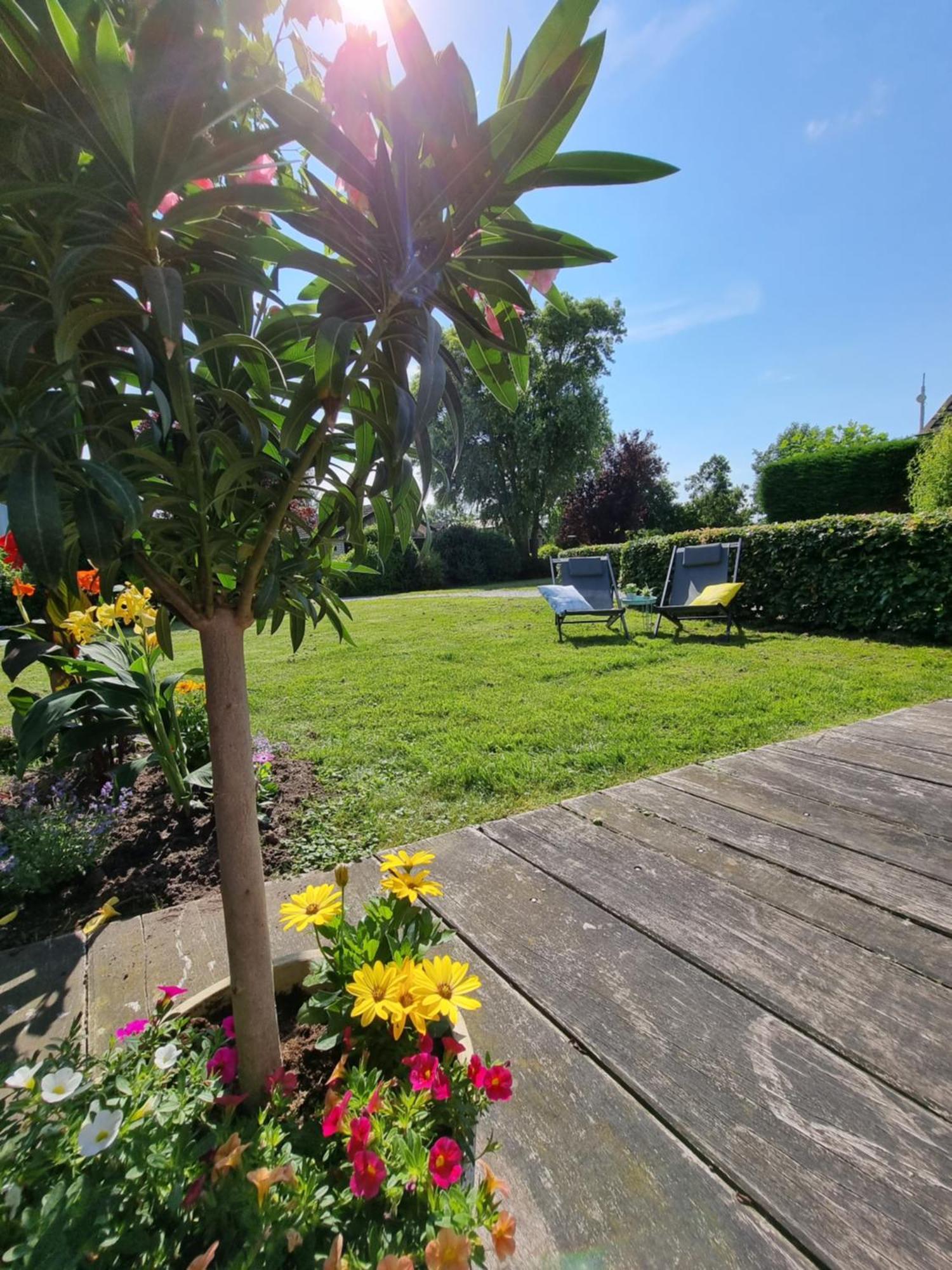 Rietmeer Vakantiehuis Friesland Gaastmeer Esterno foto